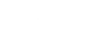 Channel Brand 5